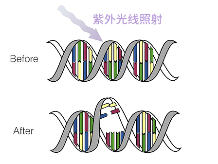 图片 11.png